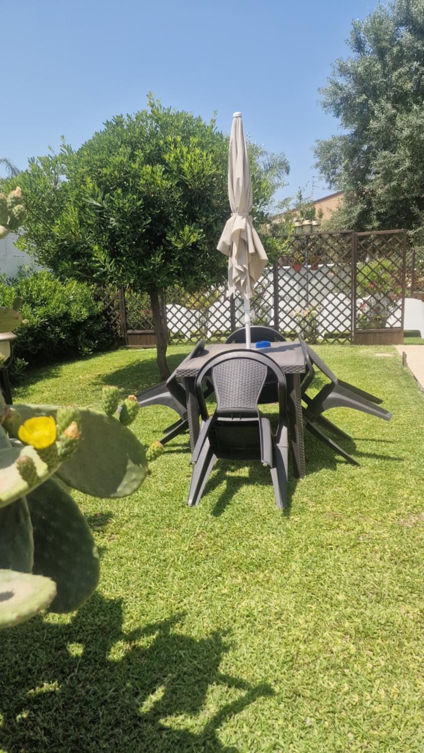 Garden view