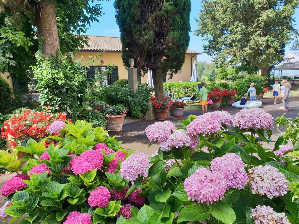 Property building, Garden view