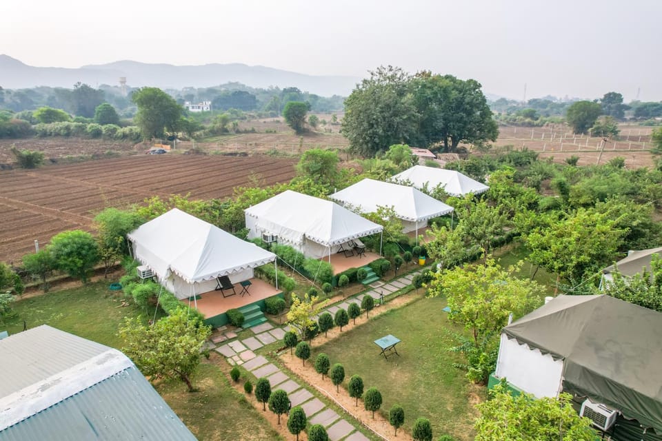 Natural landscape, Garden