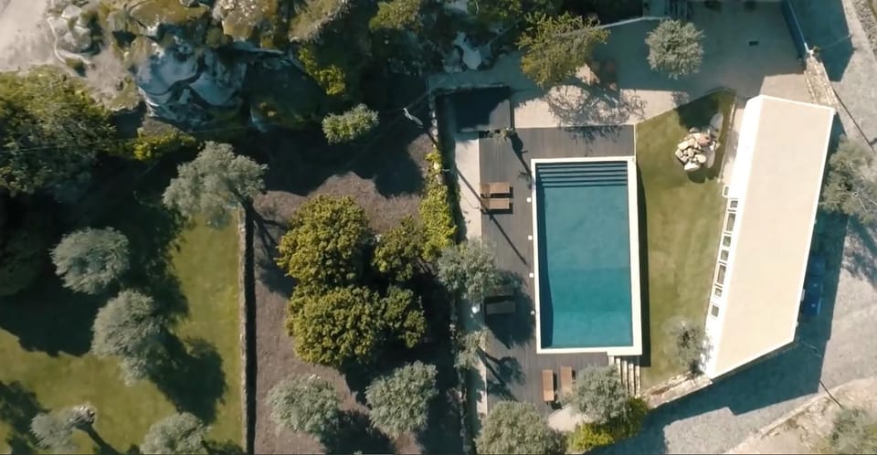 Garden, View (from property/room), Pool view, Swimming pool