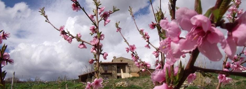 Facade/entrance, Spring, Day, Garden, Garden view