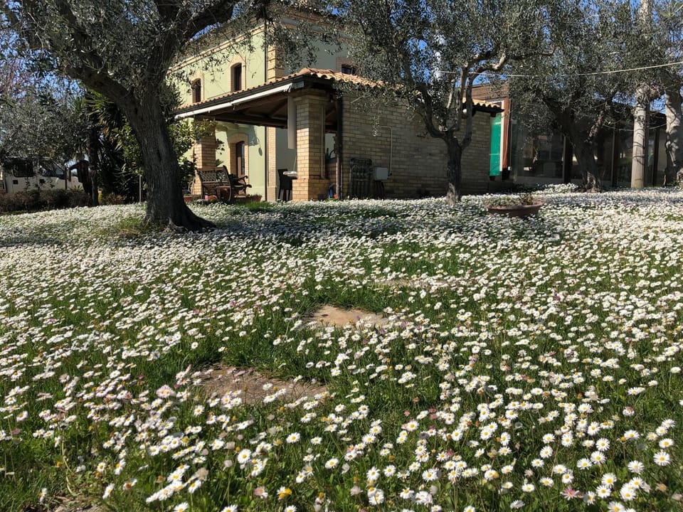 Spring, Garden