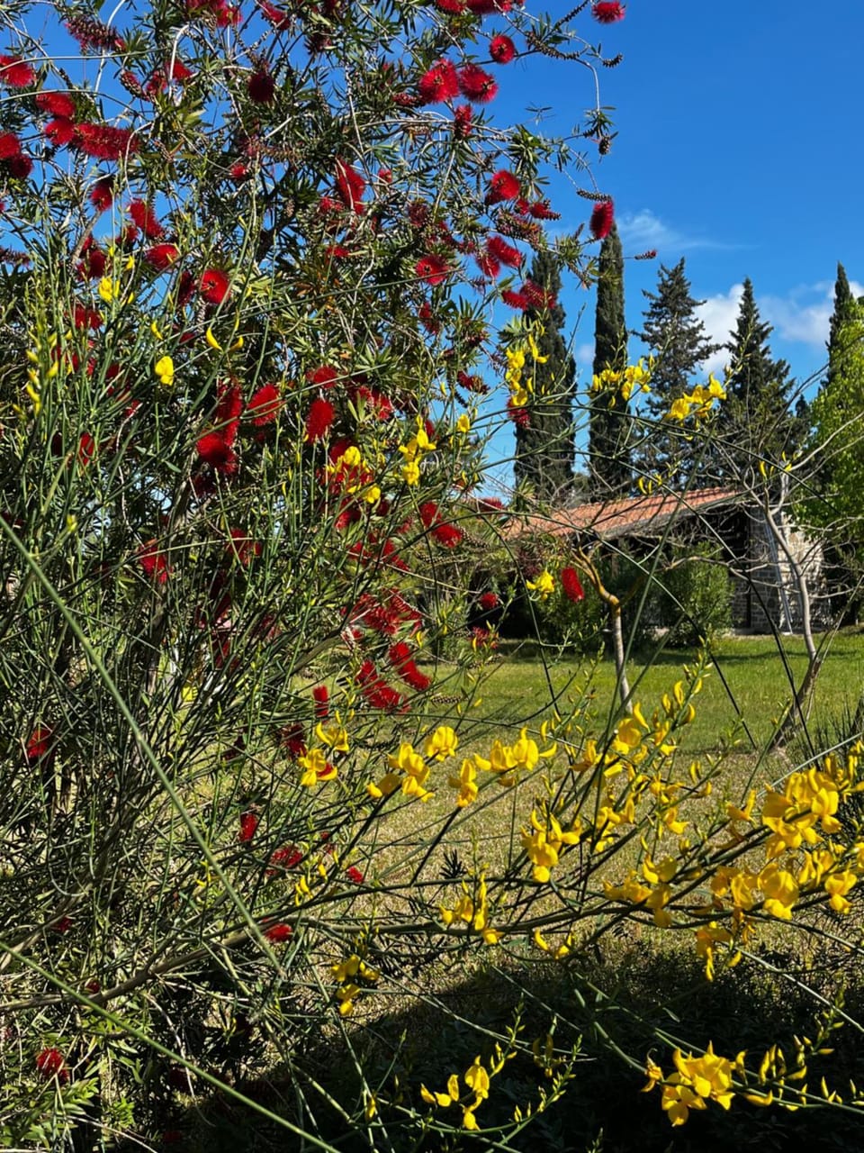 Villa Antonia Castellabate Country House in Campania