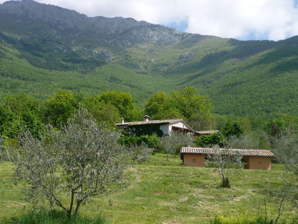 Property building, Mountain view