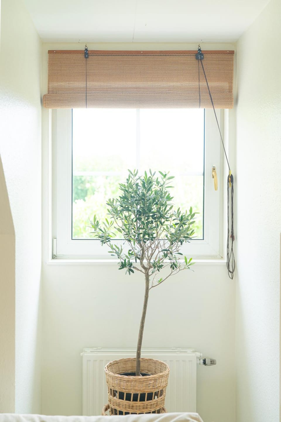 Decorative detail