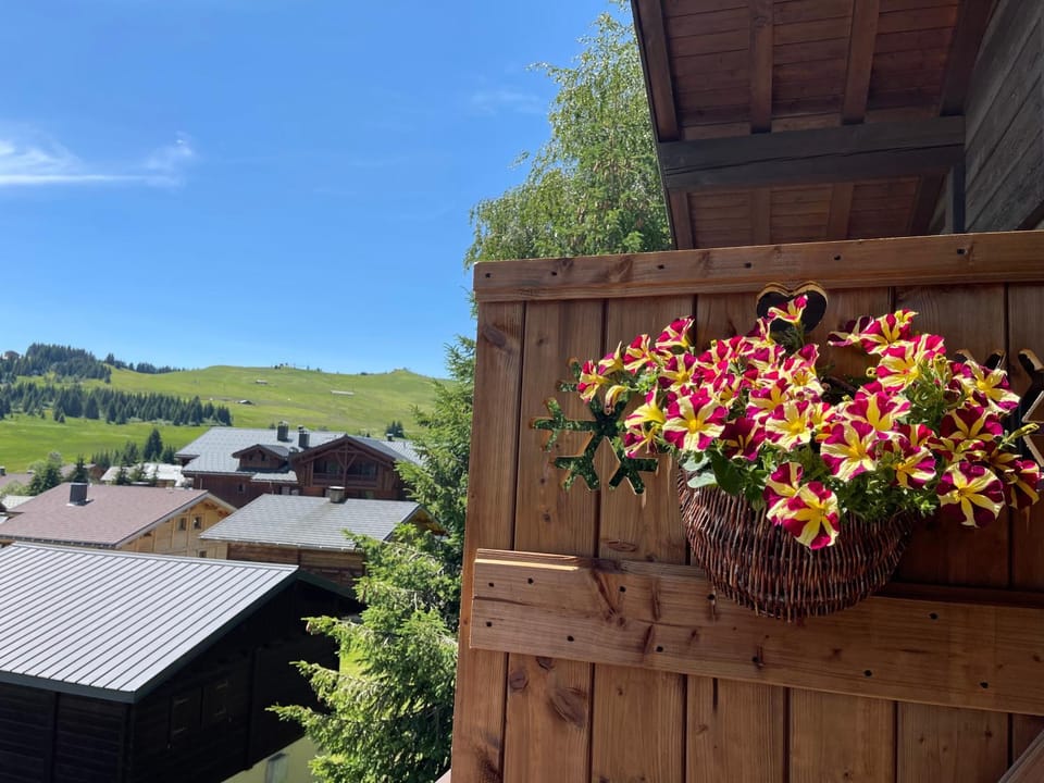 APPARTEMENT VUE SUR LES PISTES Aux SAISIES 4 Apartment in Villard-sur-Doron