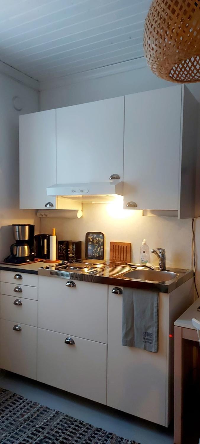 Coffee/tea facilities, Kitchen or kitchenette, minibar, stove