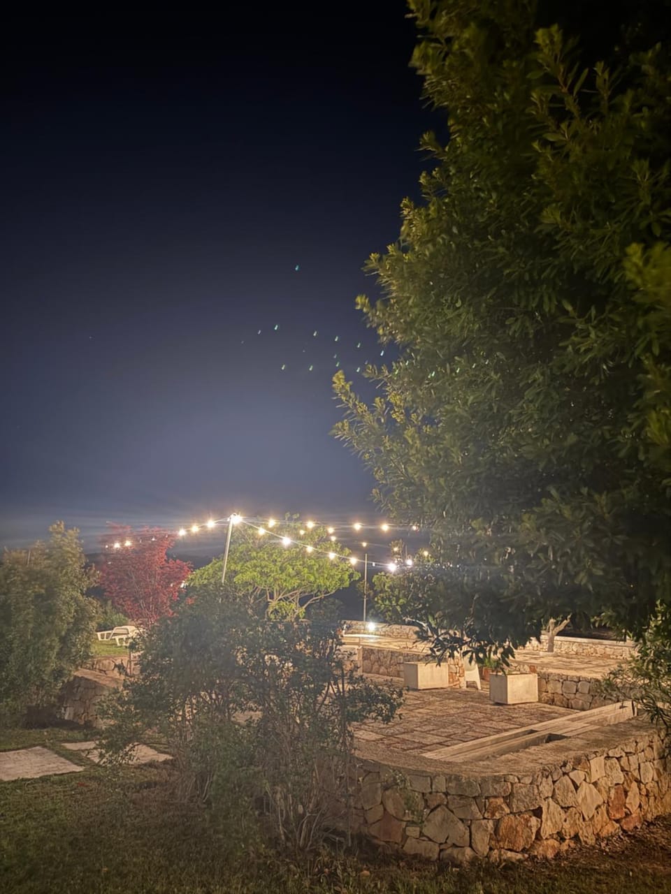 Night, Garden view