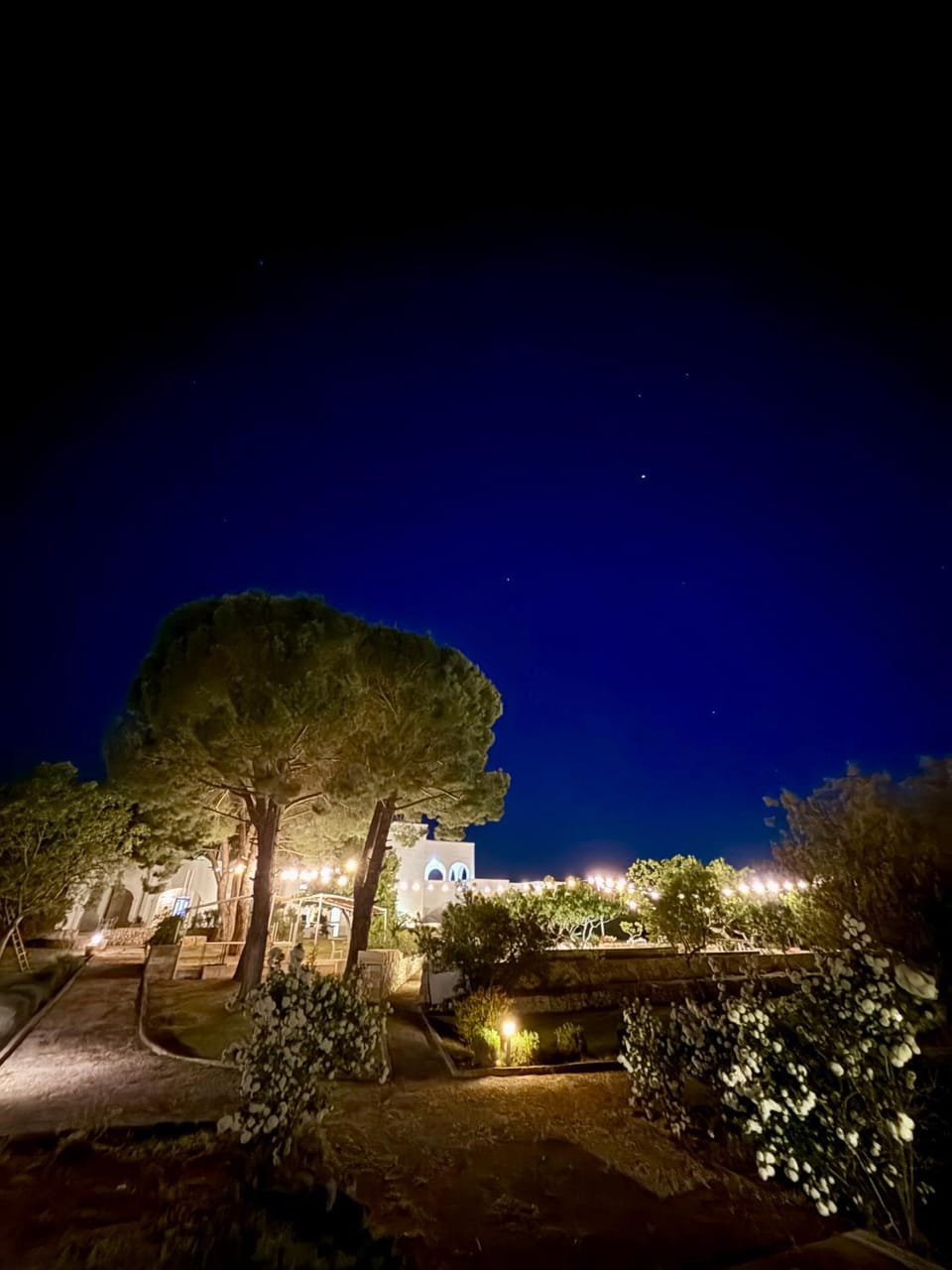 Night, Garden