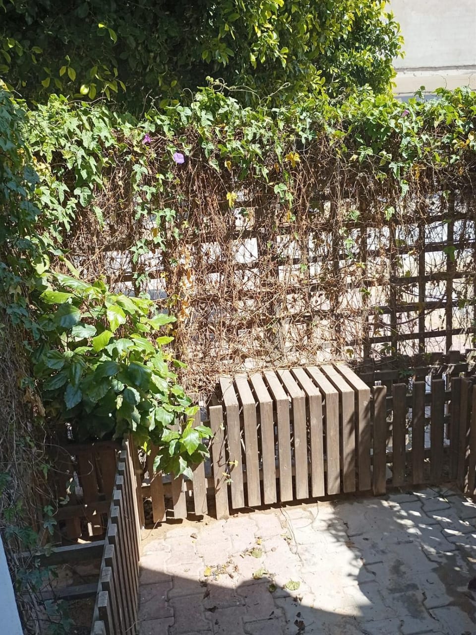 Patio, Balcony/Terrace