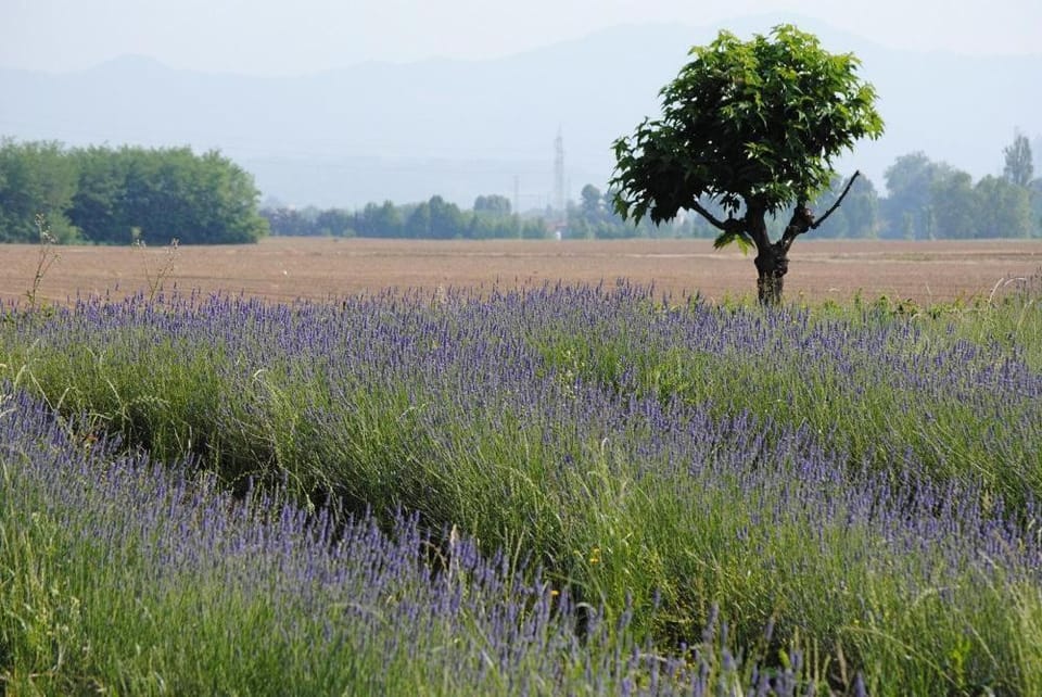 Fondo Brugarolo B&B Farm Stay in Lombardy