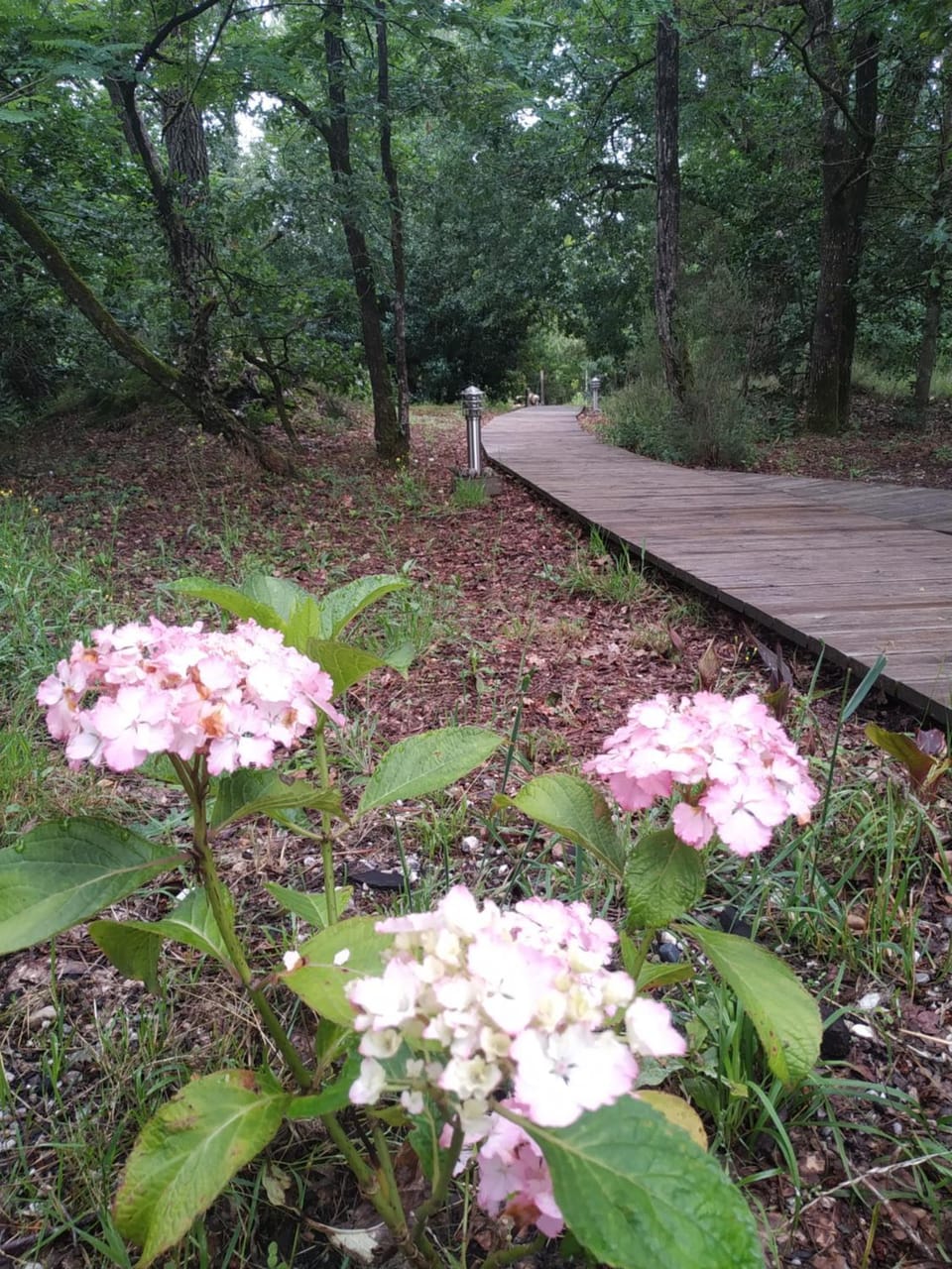 Natural landscape