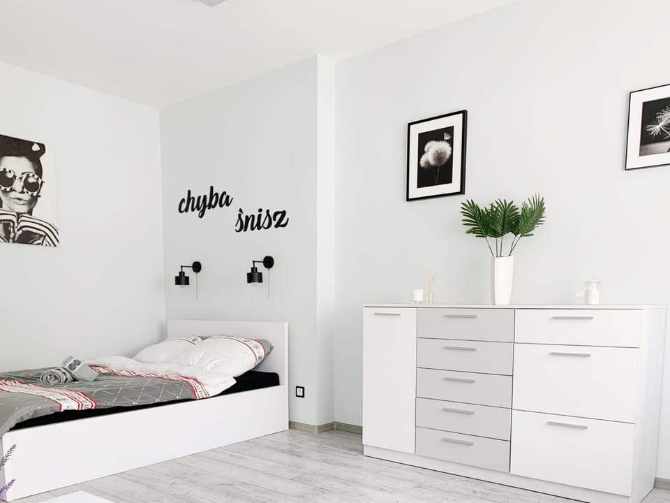 Apartament Chyba Śnisz Łańcut Apartment in Poland