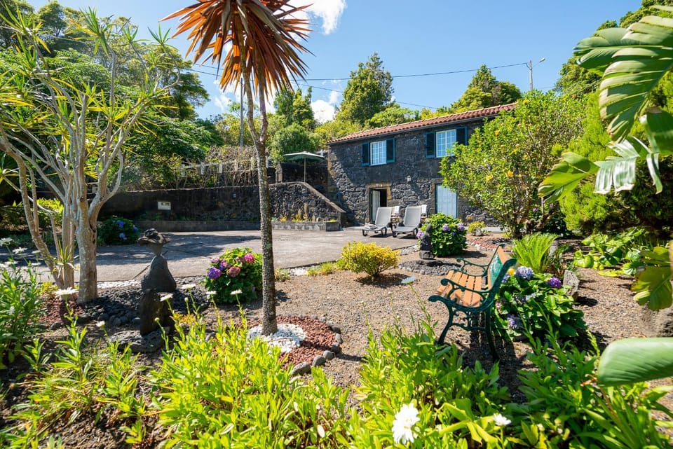 Property building, Patio, Facade/entrance, Garden