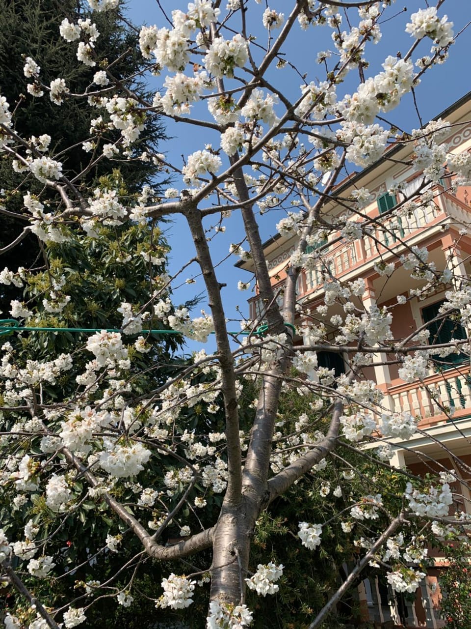 Resort Villa Rosa Maria Apartment in Savona