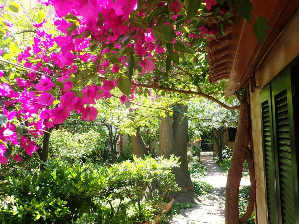 Garden, Decorative detail, Garden view