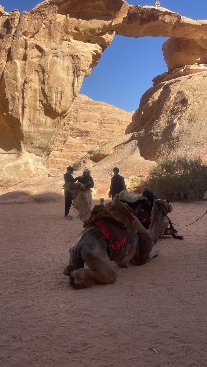 Discover the life of Wadi Rum camp Luxury tent in Africa