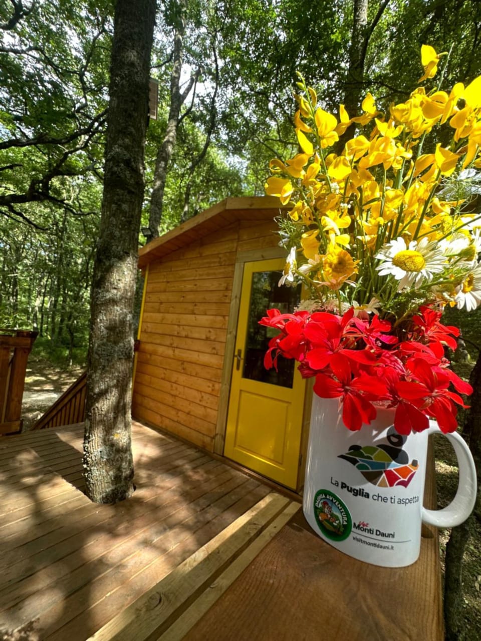 Spring, Day, Natural landscape, Garden, Garden view