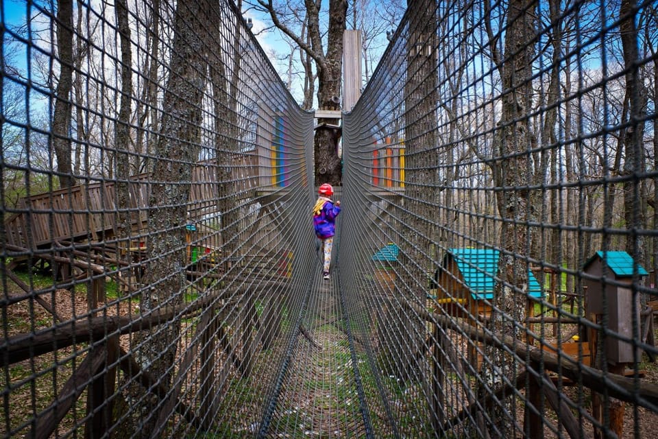 People, Natural landscape, group of guests