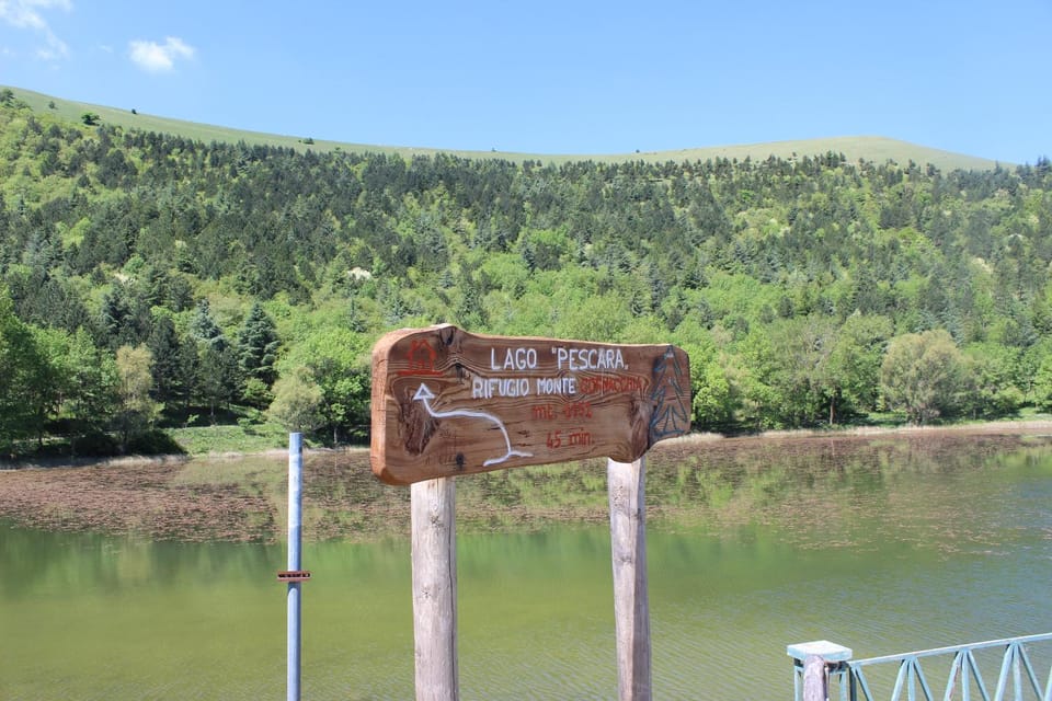 Logo/Certificate/Sign