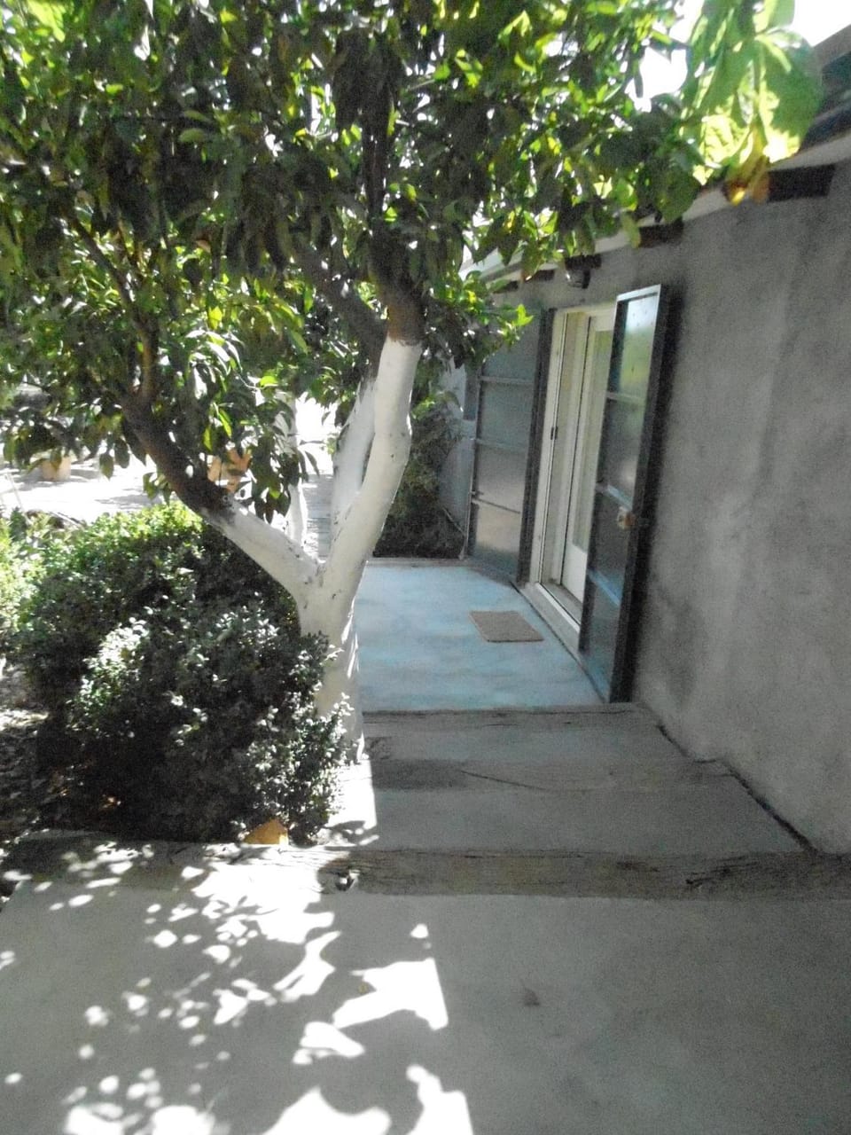 Facade/entrance, Garden