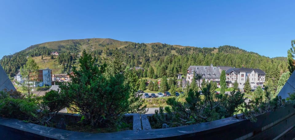 Wohnung im Herzen der Turracher Höhe Apartment in Styria