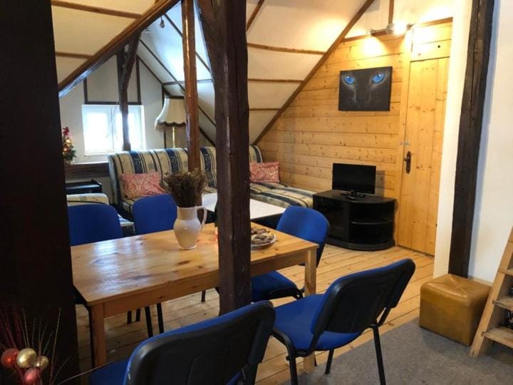 Apartmány U Kocoura pod Klínovcem Apartment in Erzgebirgskreis