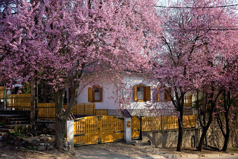 Antalóczy Vendégház Apartment in Slovakia