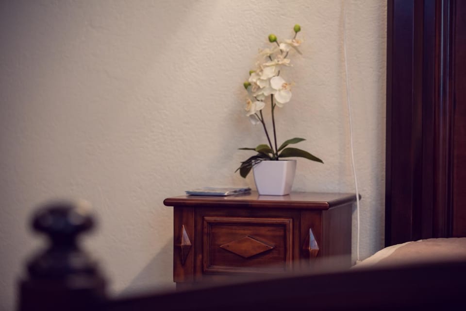 Eric Central Studio Apartment in Sibiu
