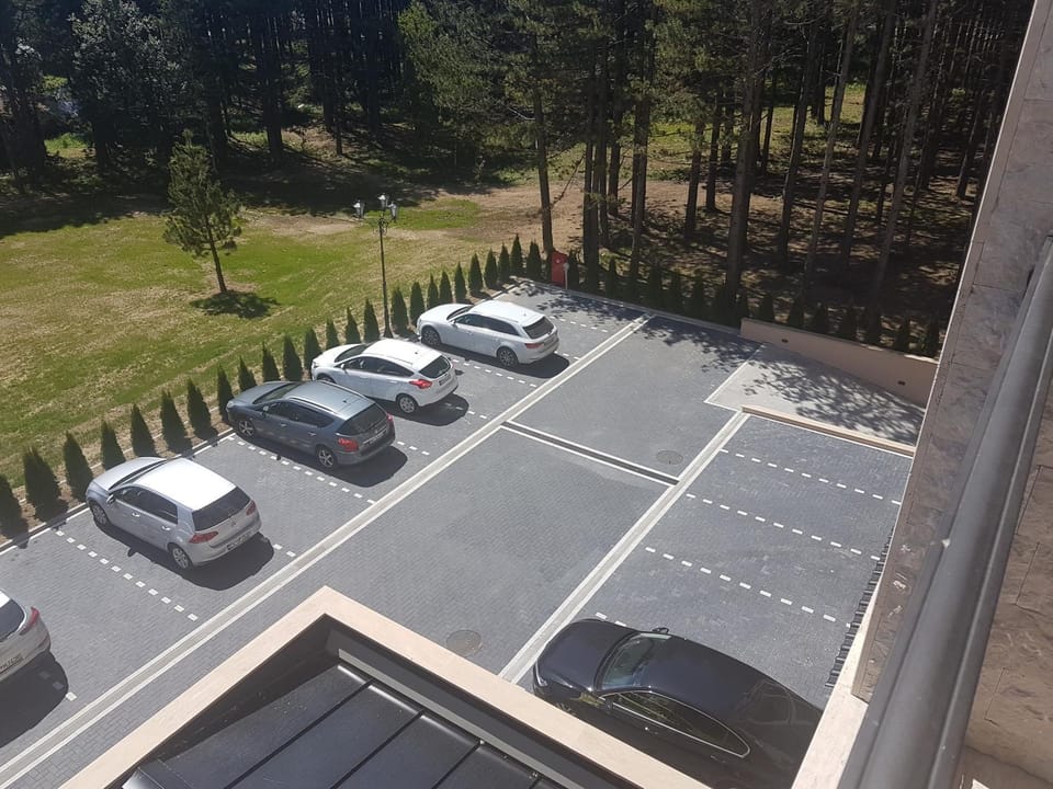 Despot 2 Apartment in Zlatibor