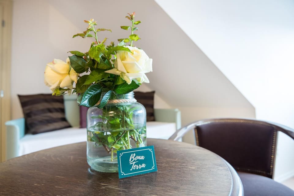 Bona Terra Apartment in South Moravian Region