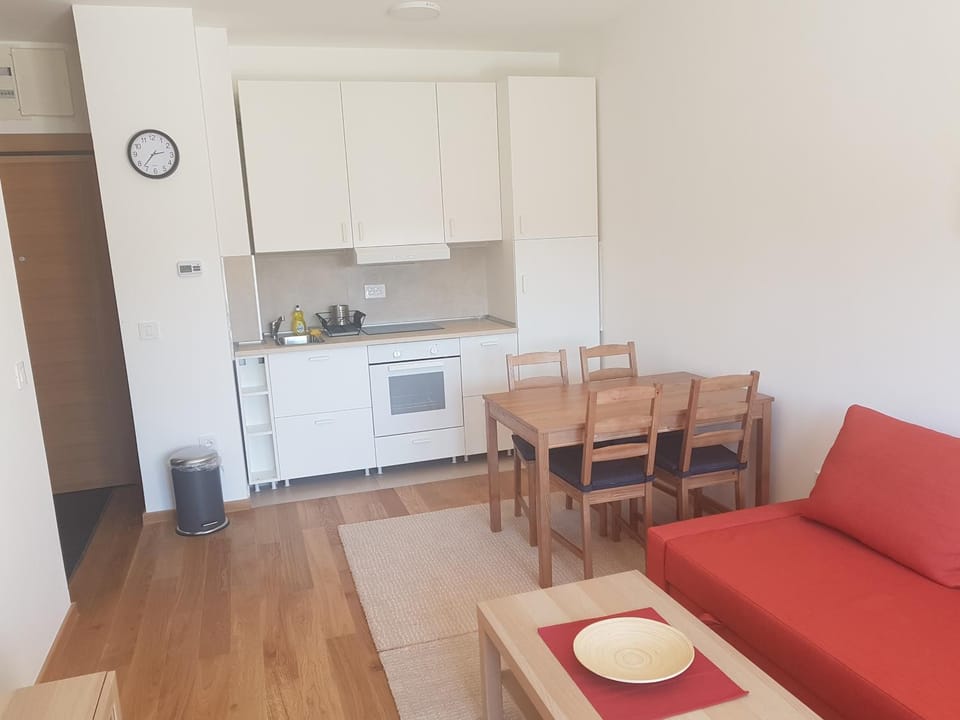 Despot 3 Apartment in Zlatibor
