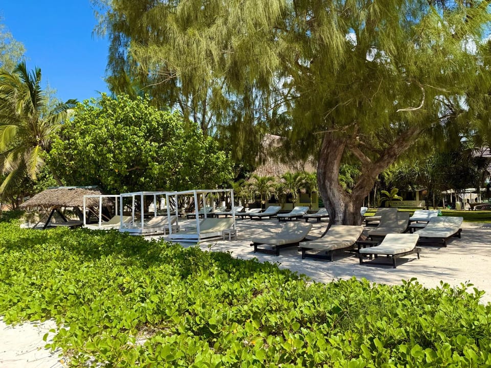 Balcony/Terrace, Beach, sunbed