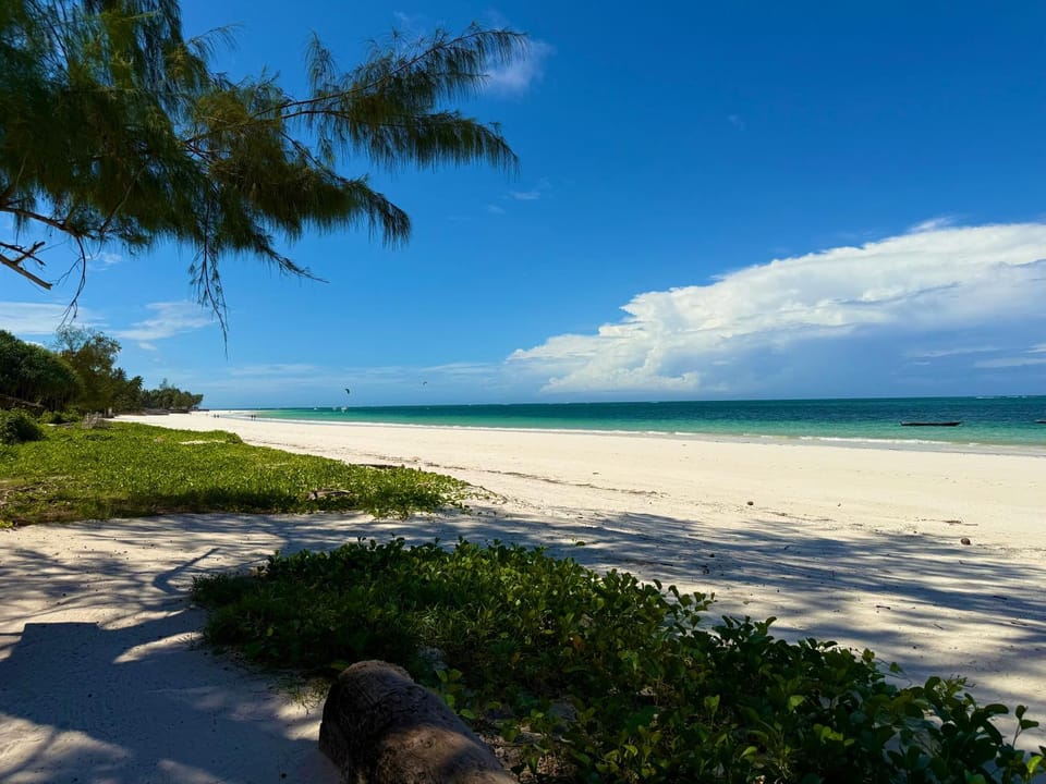 Beach, Beach