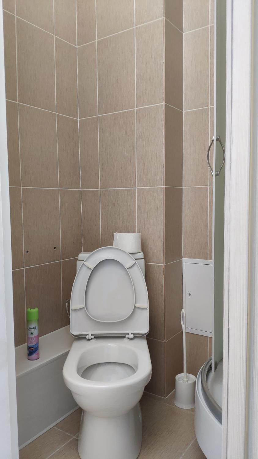 Shower, Toilet