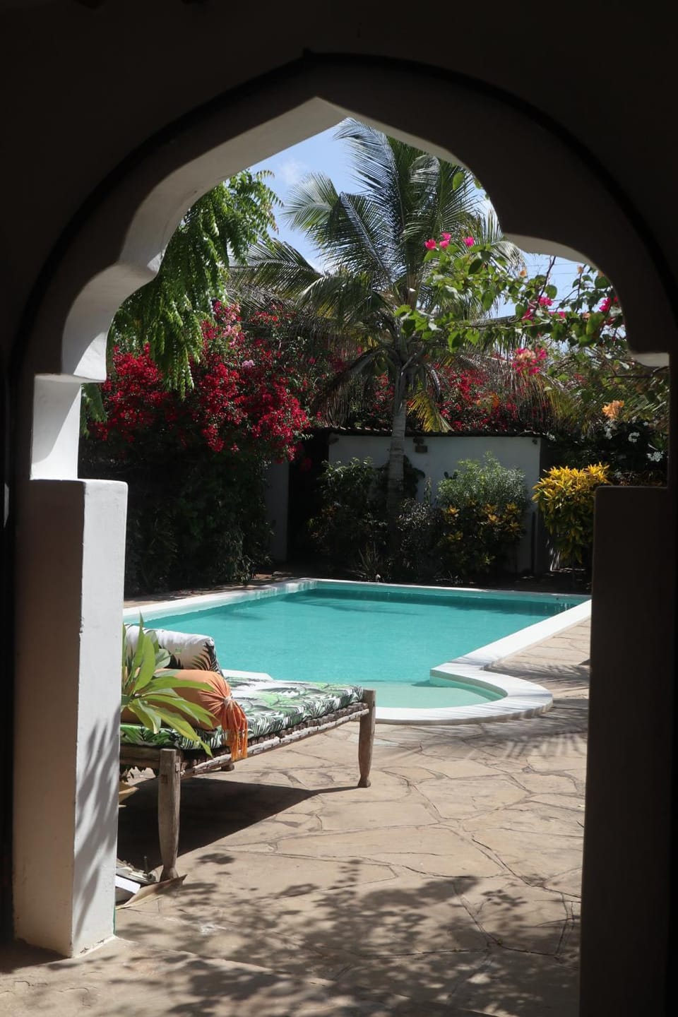 Garden, Pool view, Swimming pool, sunbed