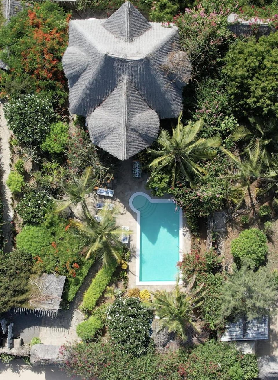Bird's eye view, Swimming pool