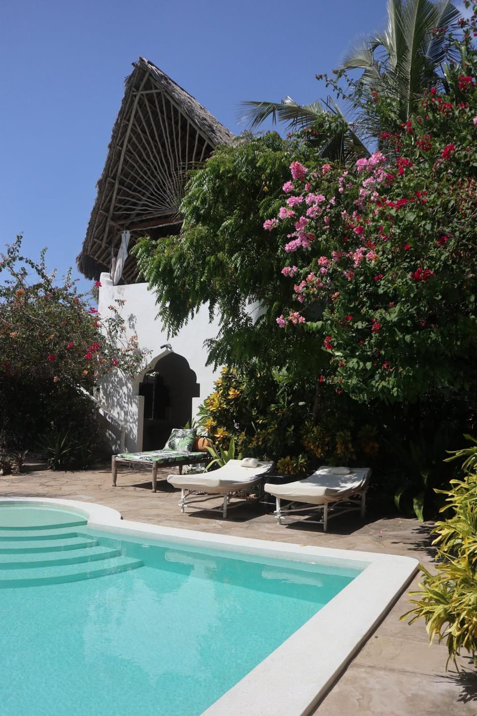 Pool view, Swimming pool, sunbed