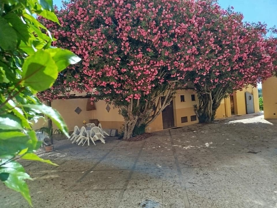 Sunrise Stagnone - Relax Sea Rooms Bed and Breakfast in Marsala