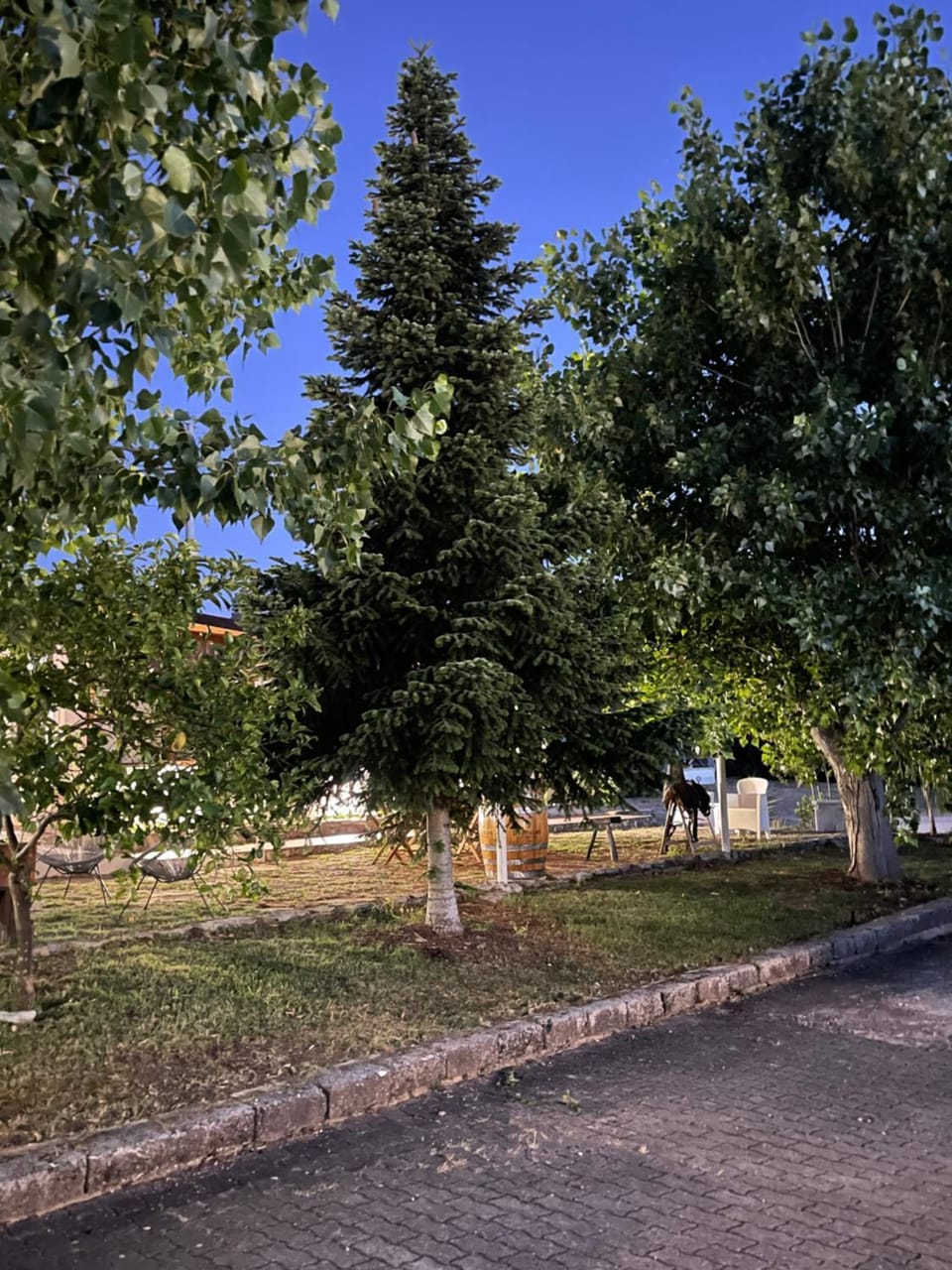 Natural landscape, Garden view