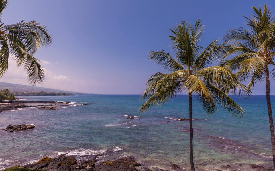 Ali'i Point Spacious and Private Oceanfont Villa with A/C House in Holualoa