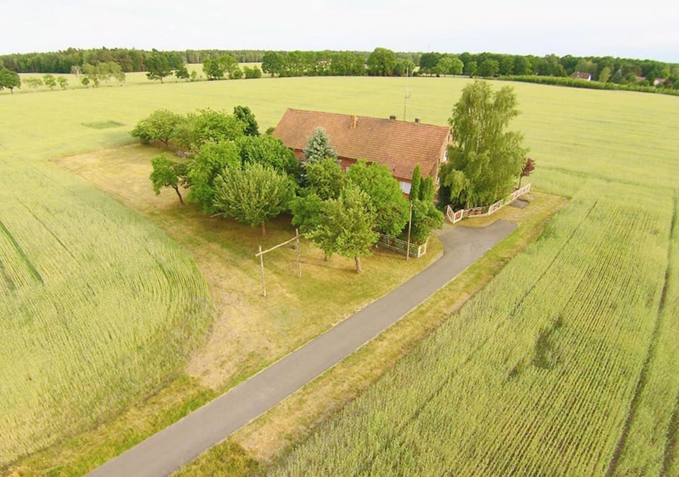 Bird's eye view, Garden view