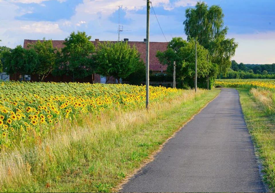 Garden view, Street view