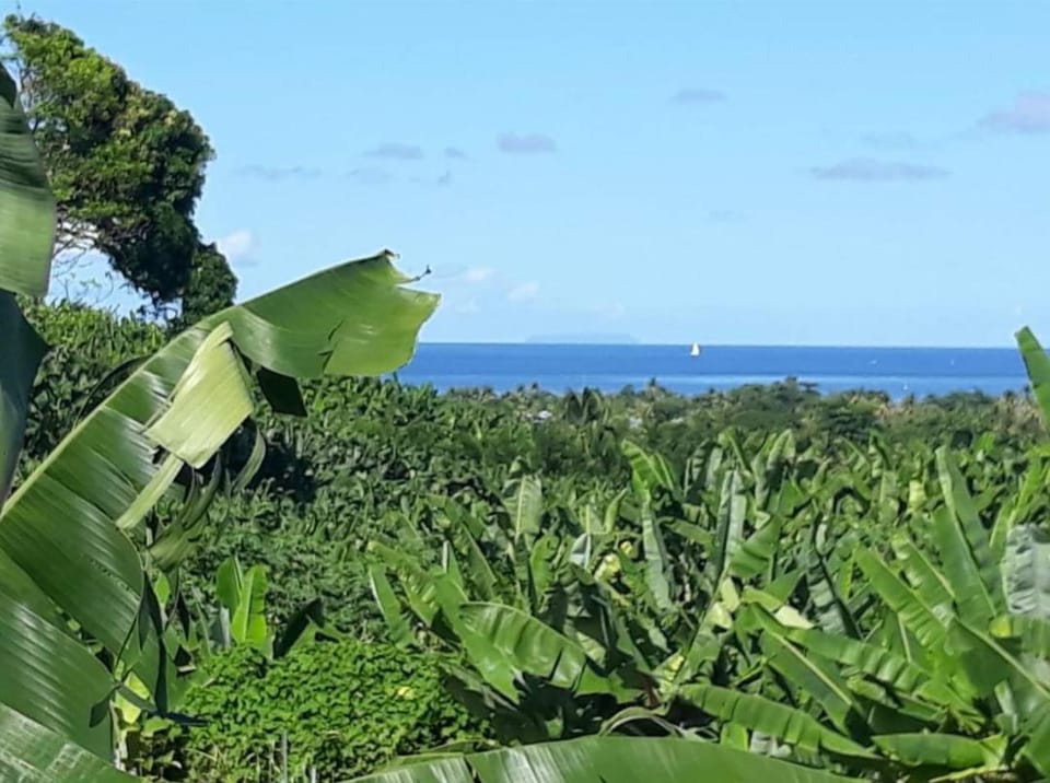 Bungalow de charme House in Leeward Islands