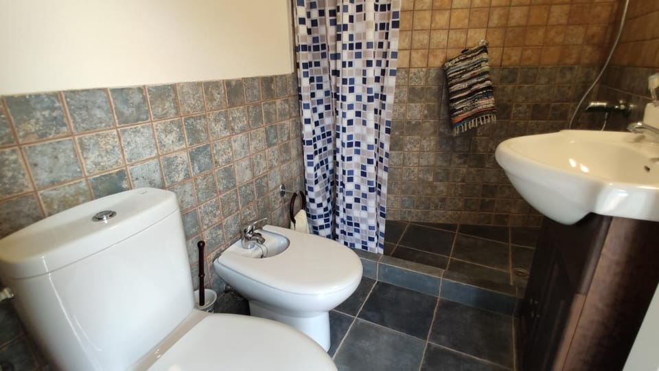 Shower, Toilet, Bathroom, bidet