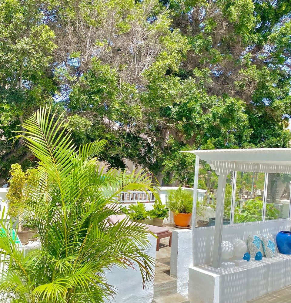 Patio, Spring, Day