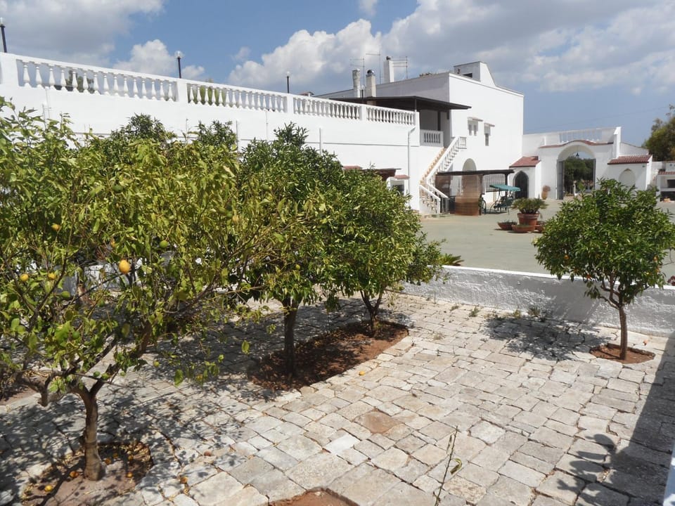 Garden, Balcony/Terrace