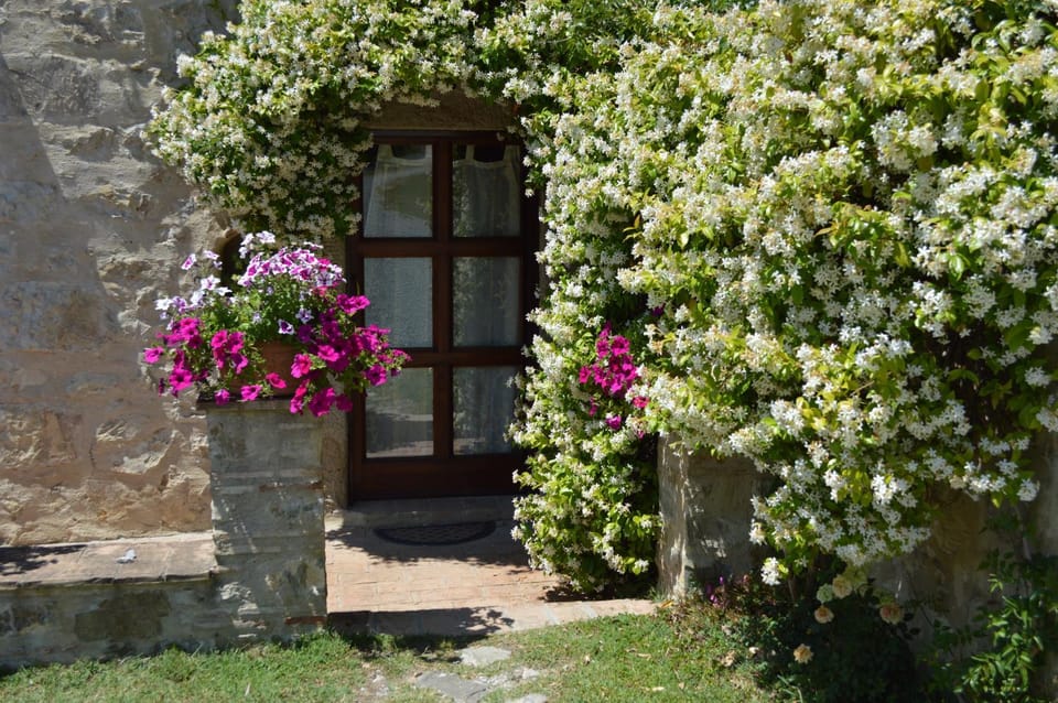 Spring, Garden