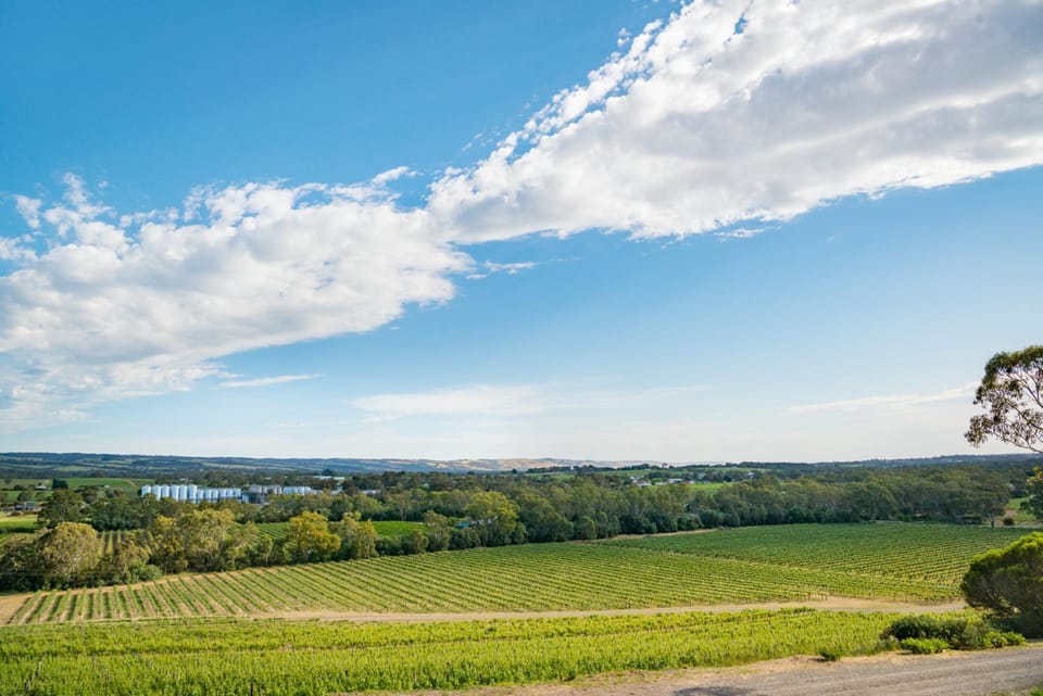 Natural landscape, Garden, Garden view, Mountain view
