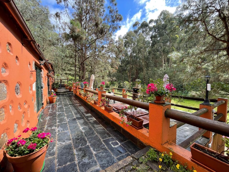 Natural landscape, View (from property/room), Balcony/Terrace, Garden view